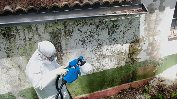 Top rated local Mold Remediation specialists in Gladwyne, PA